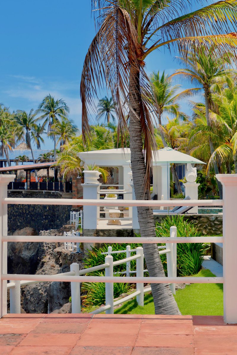 The Bitcoin Mansion in El Salvador (@thebtcmansion) / Posts / X