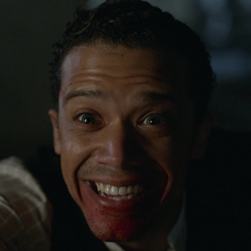 kittyloudaily's tweet image. 