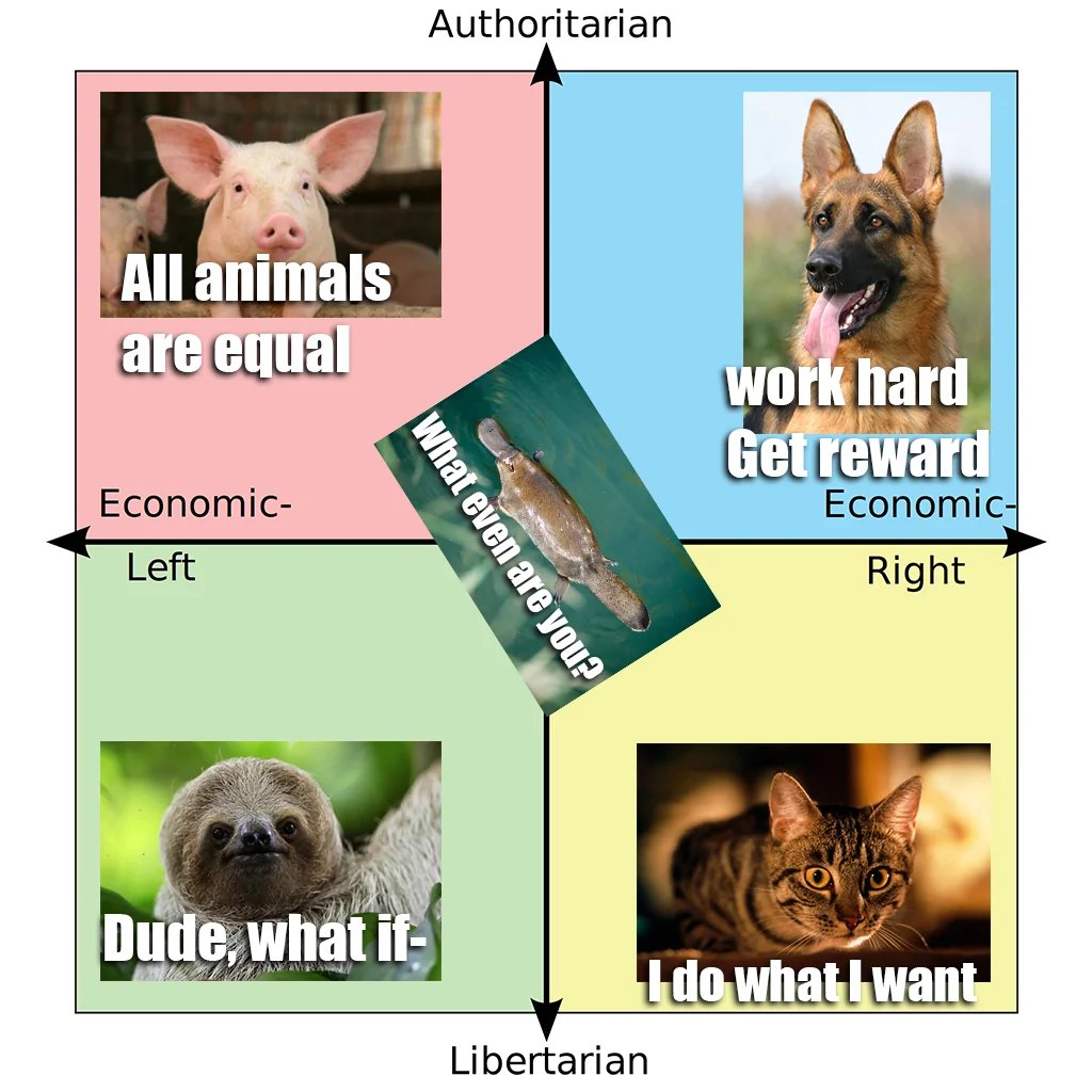 Order4Absurdity's tweet image. 