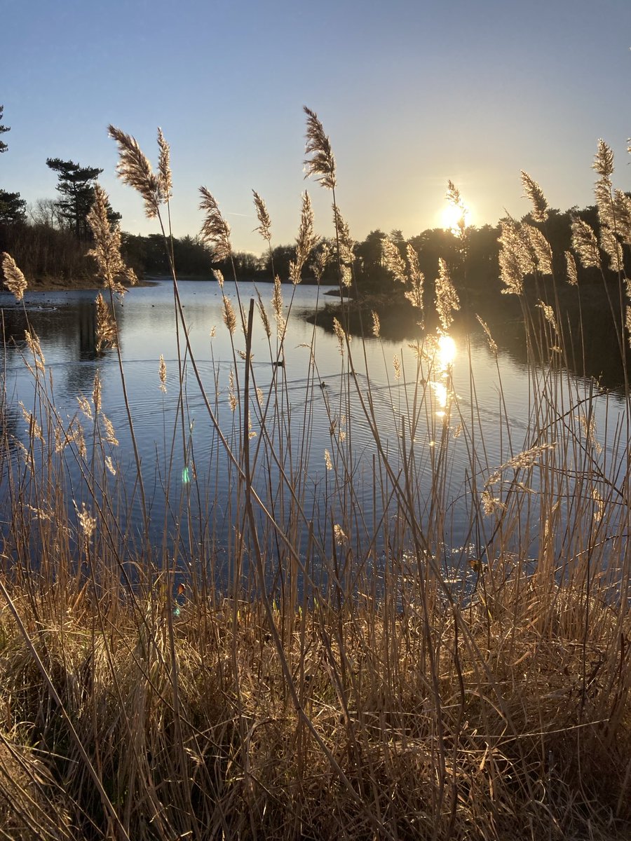 #Goedemorgen #zaterdag

Zondag weer even 2 dagen naar #Terschelling voor business; tuurlijk weer een blik werpen op het mooie Doodemanskisten, het Duinmeertje. #Waddeneiland is puur genieten! Ik kom er ongelofelijk graag. 

#Fijnweekend💋

#nature #sunset