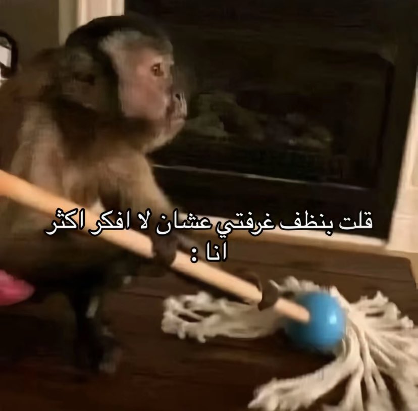 ريما tweet media