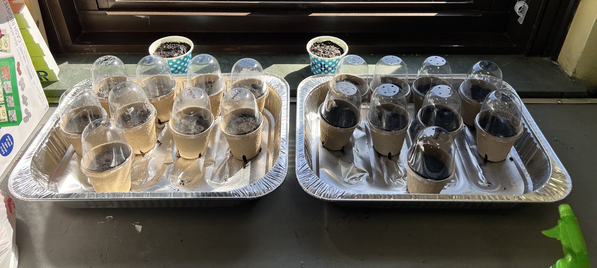 Ms. Herder tweet media