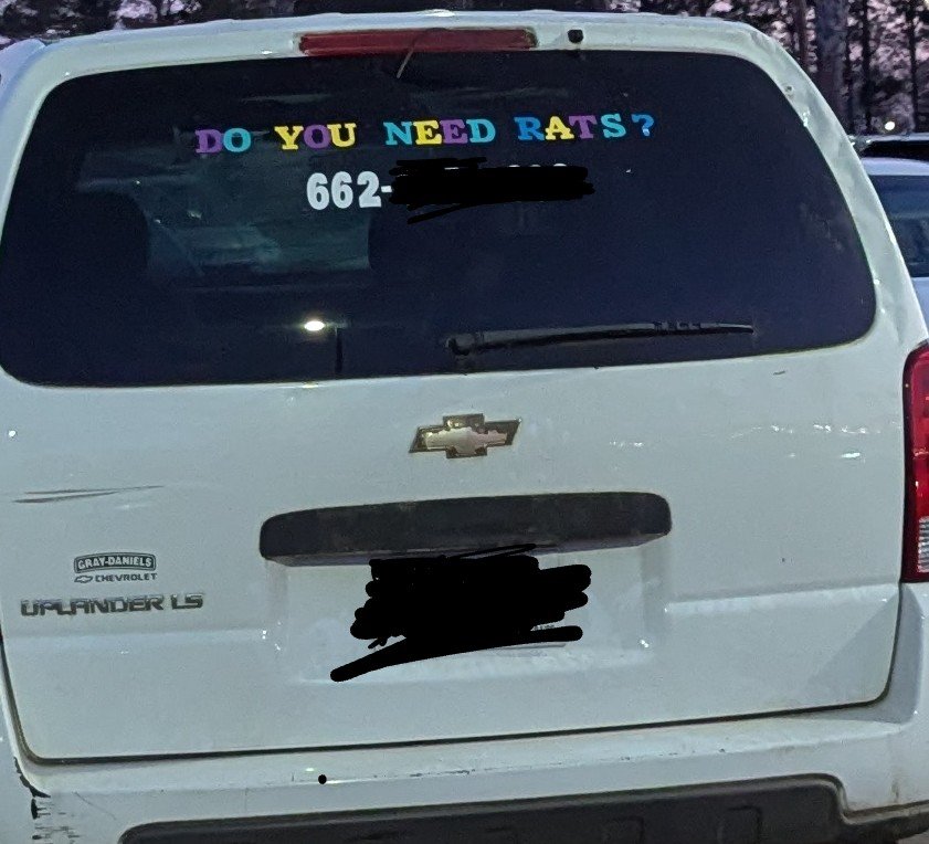 Rat Update when? <a href="/ALostrich/">Matt Mitchell</a>