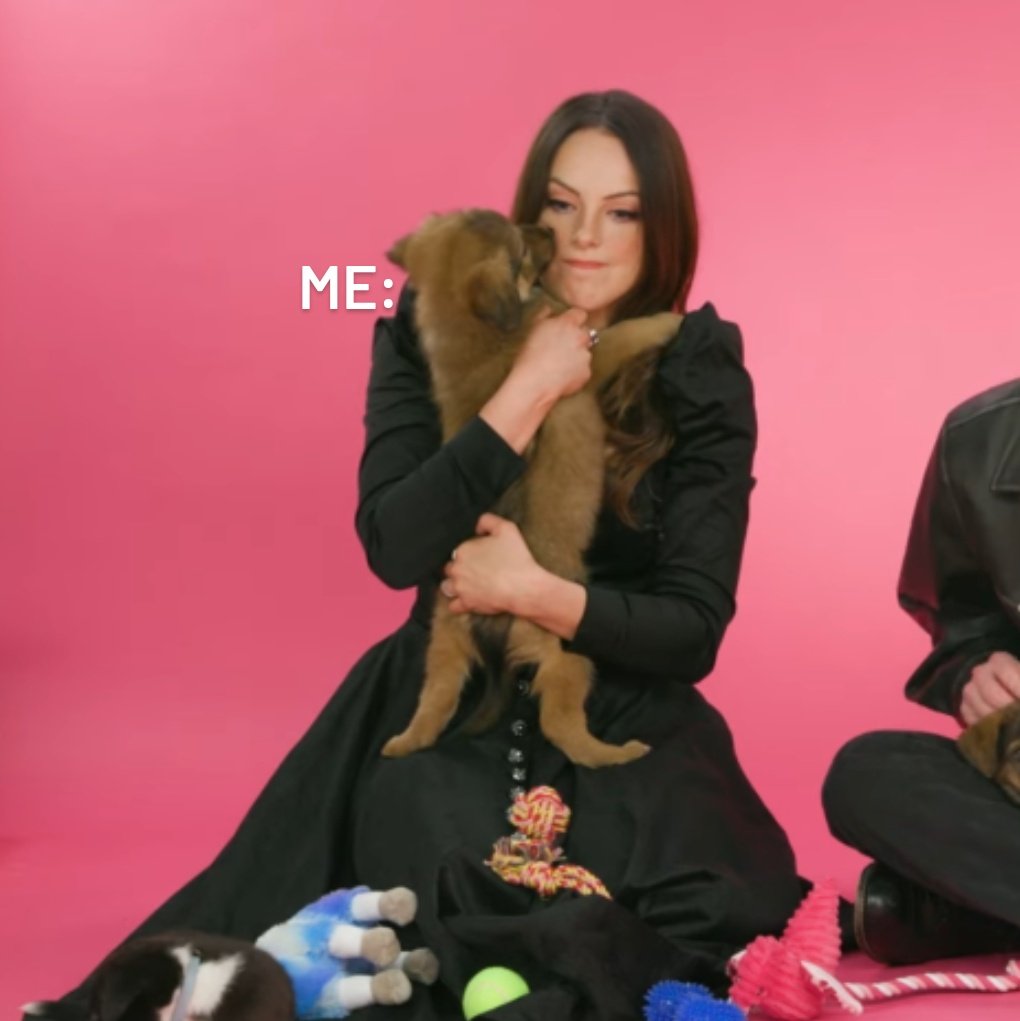 remind me why being a human is worthy when I could have been that puppy