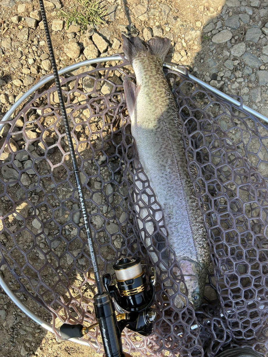 おじゃ🦂釣り (@4Po5AX9UAqfFoqe) / Posts / X