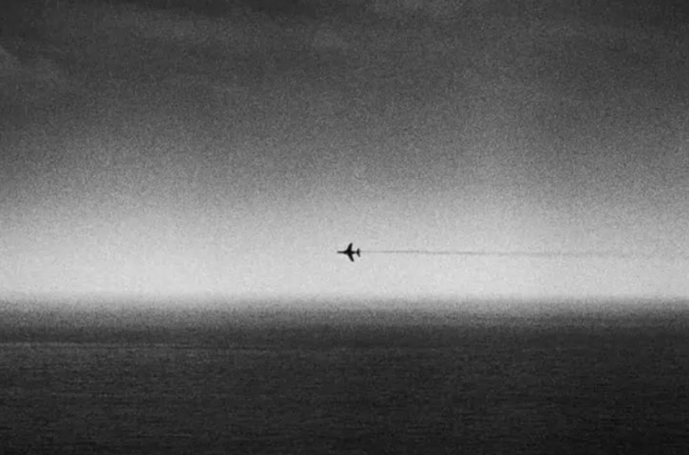 Sky 🦅 tweet media