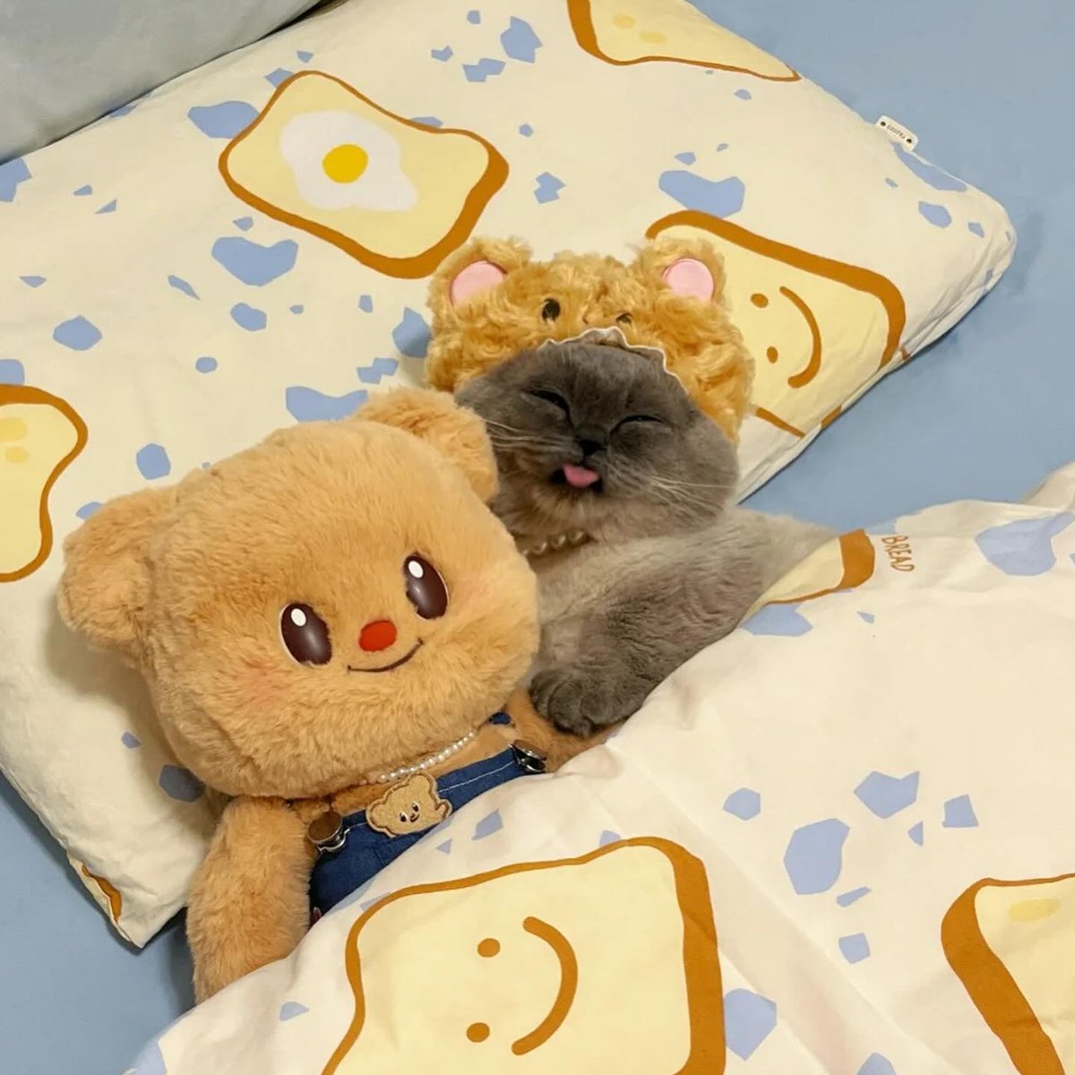 Woke up feeling cute, gm