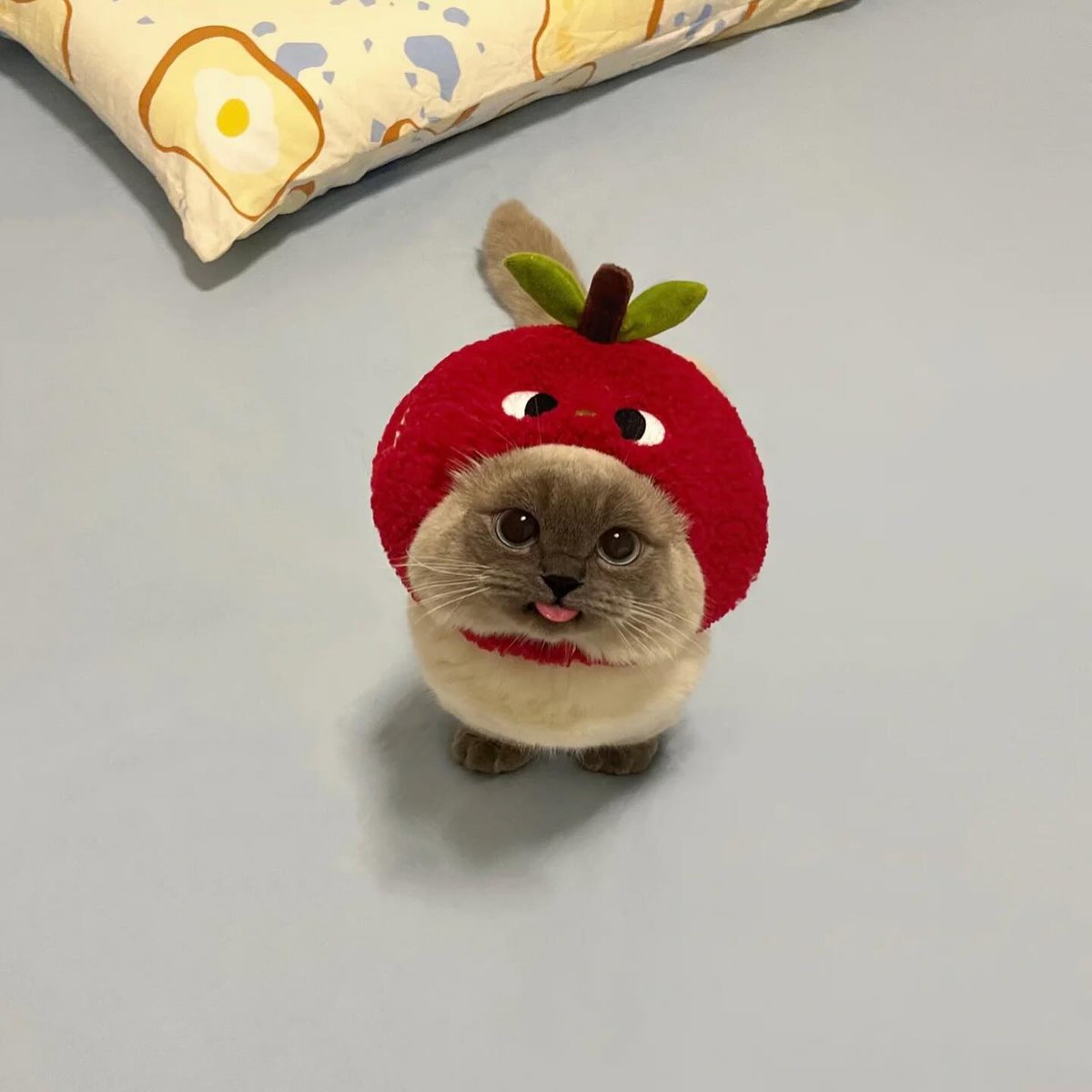 Before and after eating