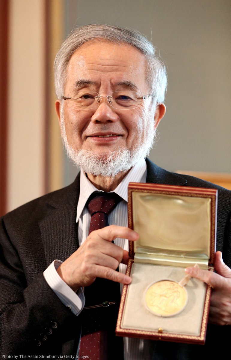 The Nobel Prize (@nobelprize) on Twitter photo Did you know that our body 'eats' itself to stay healthy?  
Yoshinori Ohsumi was awarded the 2016 Nobel Prize in Physiology or Medicine for discovering the mechanisms for ‘self-eating’ or autophagy, which refers to the way our cells destroy and recycle their own contents. Did you know that our body 'eats' itself to stay healthy?  
Yoshinori Ohsumi was awarded the 2016 Nobel Prize in Physiology or Medicine for discovering the mechanisms for ‘self-eating’ or autophagy, which refers to the way our cells destroy and recycle their own contents.