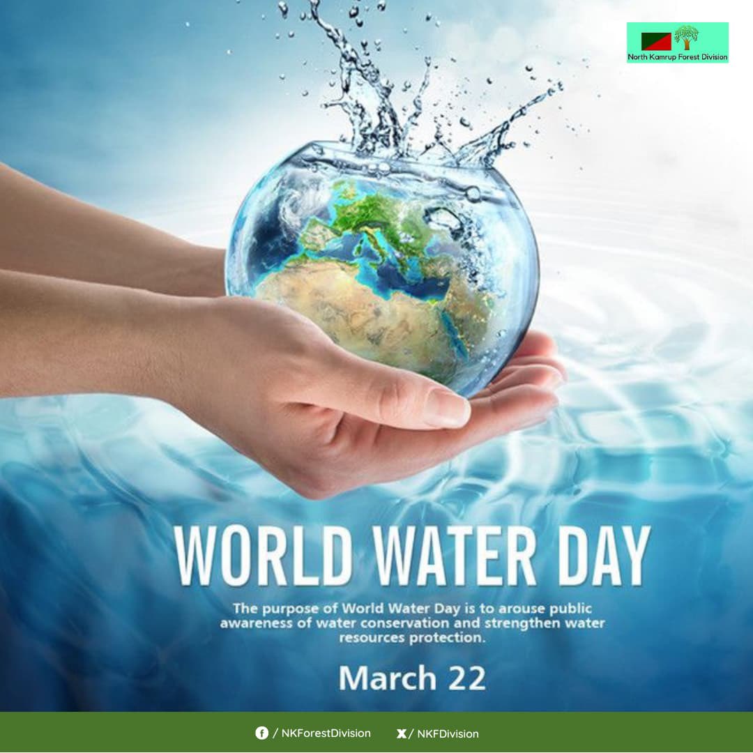 On this World Water Day, let's come together to celebrate the lifeline of our planet—water. This precious resource sustains all forms of life, connects communities, and powers development.
