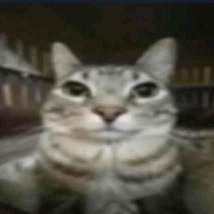 genuinely the person i was and the way i behaved when i was first joining the internet upsets me deeply and then i remember  that was like 1-2 years ago