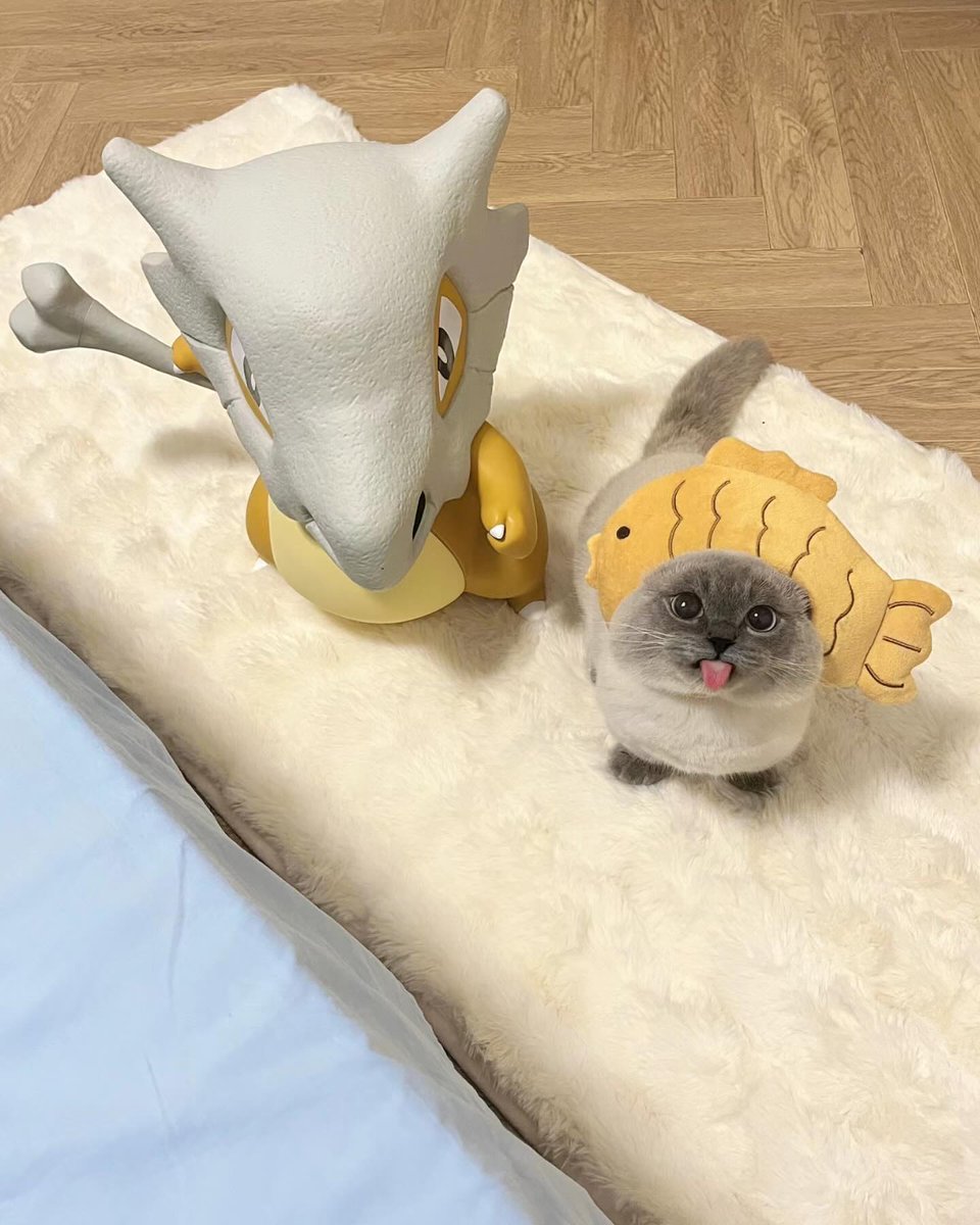 Me and my new friend