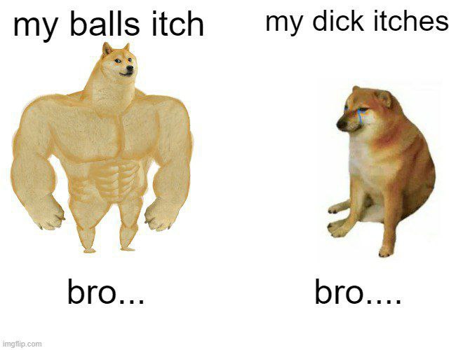 Bro... $dickcoin