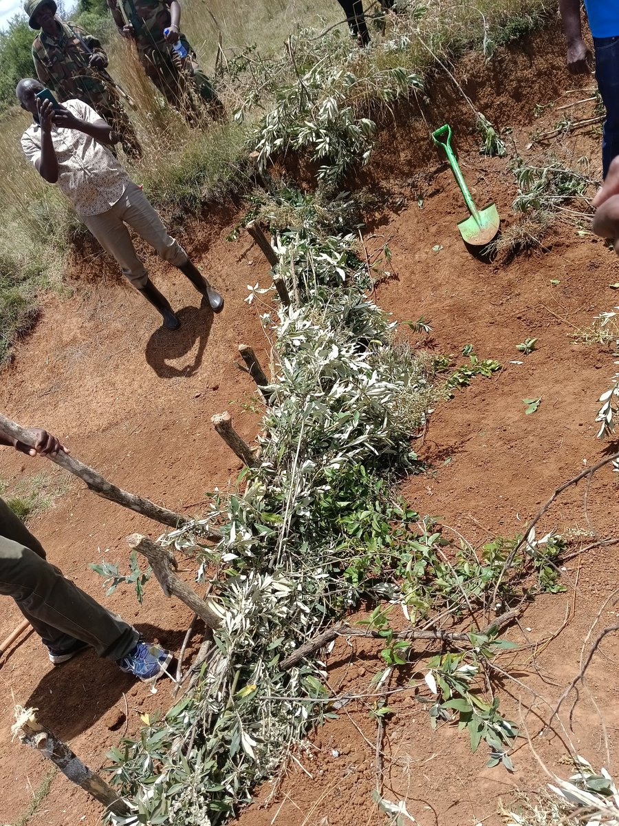 There is a high corelationship between healthy soils, foods and restoration. Had a great week of training on soil conservation with #WRI and #restorelocal champions 
#InternationalDayofForests 
<a href="/CIFOR_ICRAF/">CIFOR-ICRAF</a> 
<a href="/Environment_Ke/">Ministry of Environment, Climate Change & Forestry</a> 
<a href="/Eng_F_Ngeno/">Dr. Eng. Festus K. Ng’eno, MIEK, CBS</a> 
<a href="/restorelocal/">Restoration Local</a>
