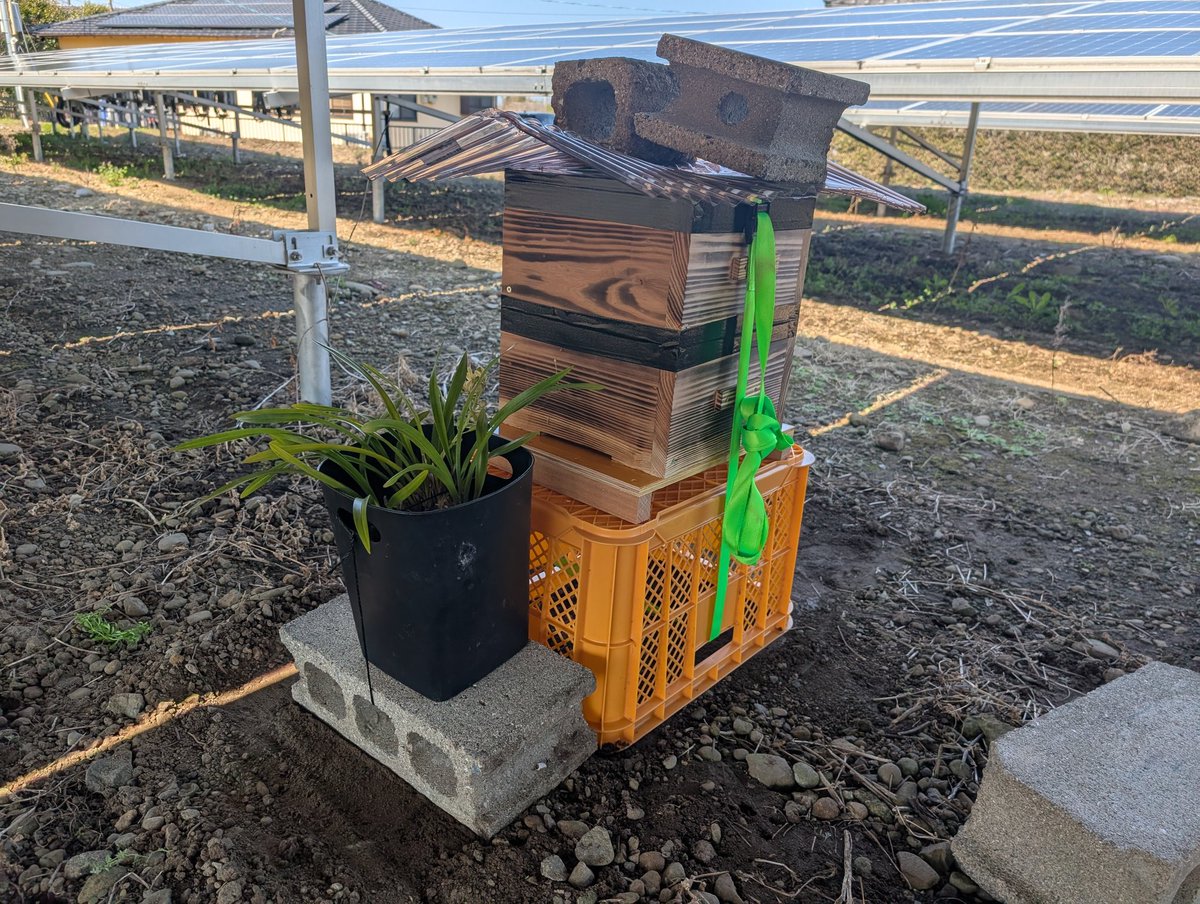sunlite1219's tweet photo. 発電所に巣箱設置してみた🐝
設置した帰りに先輩の養蜂している所を見学に行ったら速攻刺されてしまった💦恐ろしい😥 https://t.co/hc74qmD4Gt
