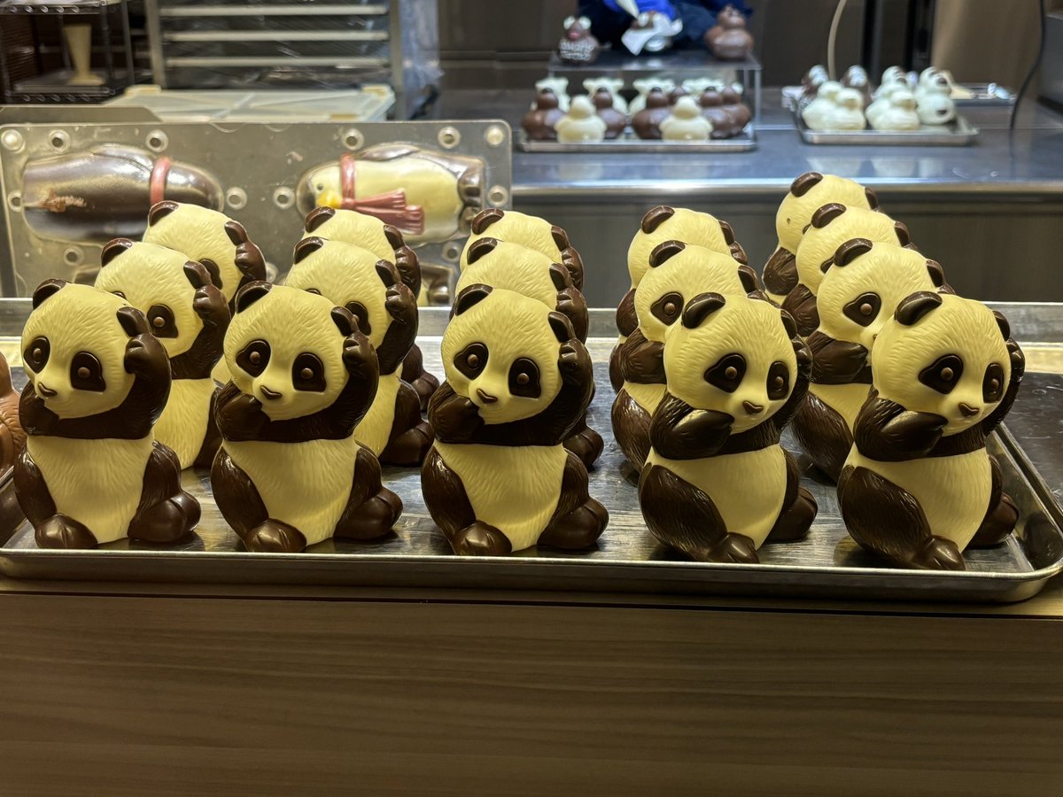 ぱん様いつの間にチョコレート商品出したん🥰