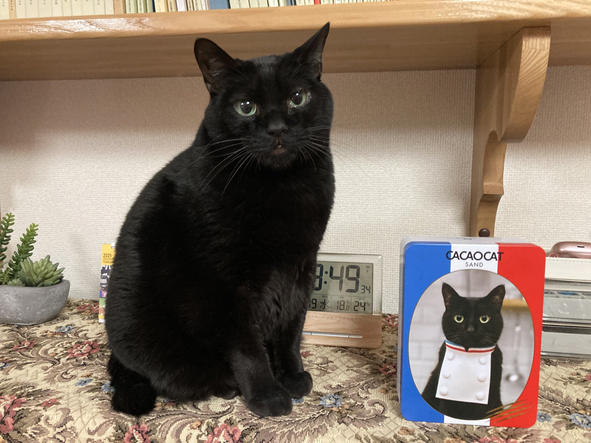 ねこ◎不調の為返信遅れます、プロフ必読様用個別オーダーページ-3 パネル生地 ナパムネ on X: 
