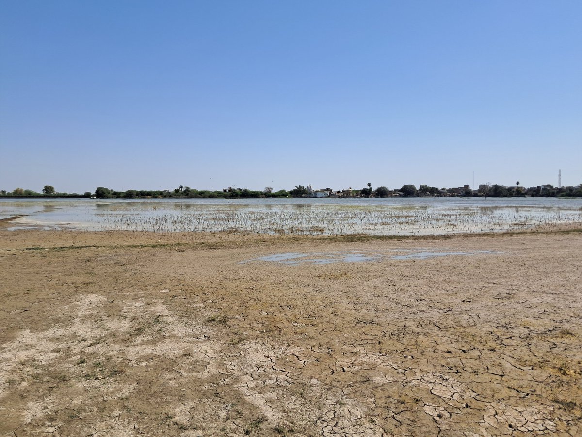 veersingh927's tweet image. #विश्व_जल_दिवस 

#worldwaterday2025 #saveworld