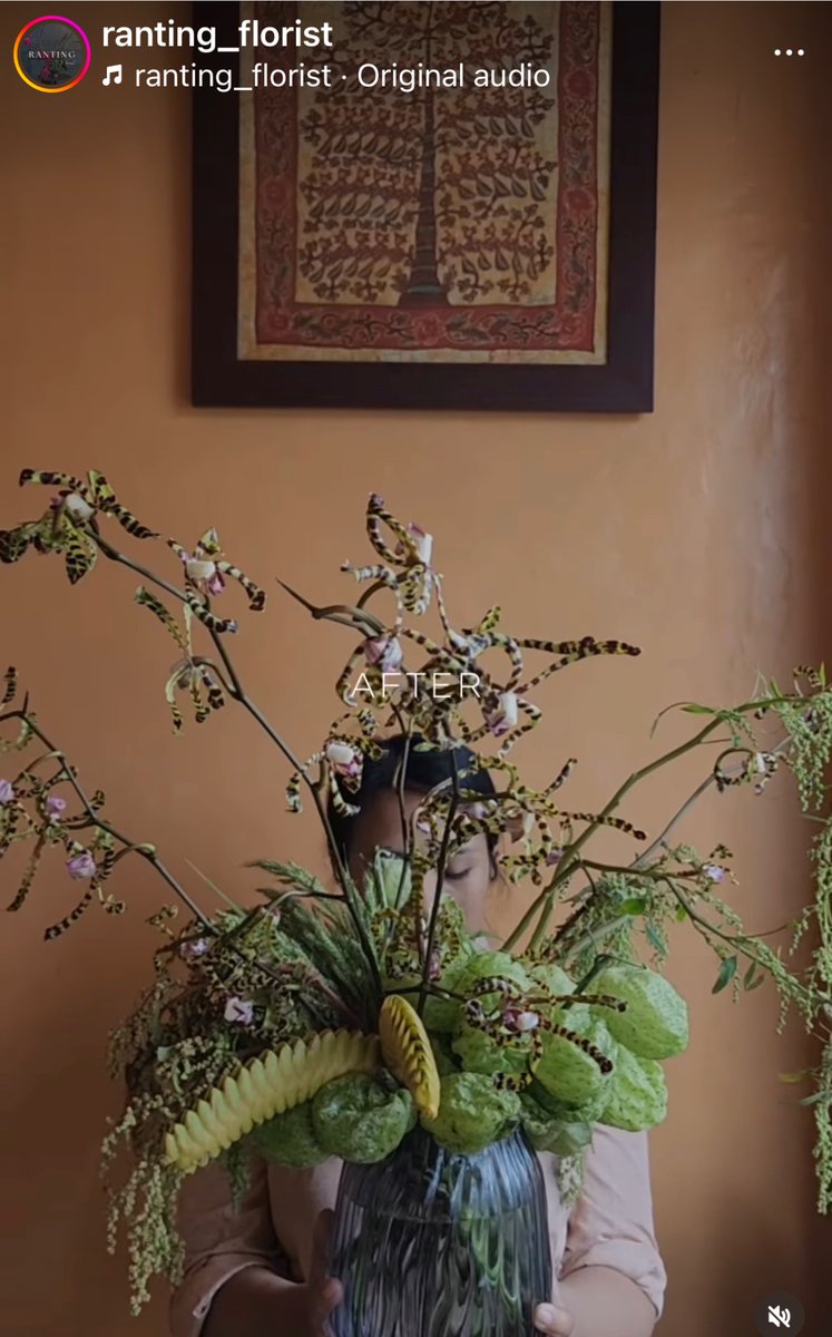 gambarnana's tweet photo. @Calametha Beberapa florist di Bali suka pake bunga tropis seperti ini. Terutama Ranting Florist ini.

Aku suka bgt tp harganya malah lbh mahal, mgkn karena bunganya jarang (ga banyak dikultivasi khusus) 🥹

(tp ini masuk tropis amerika yang kami maksud gak? Aku ga begitu paham) https://t.co/hAZBiZr4rV