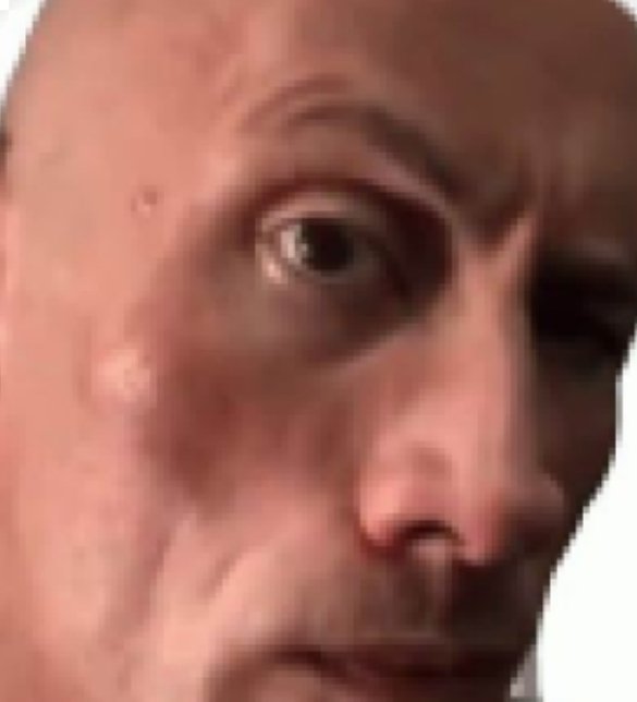 Team Hamburguesa o Pizza?