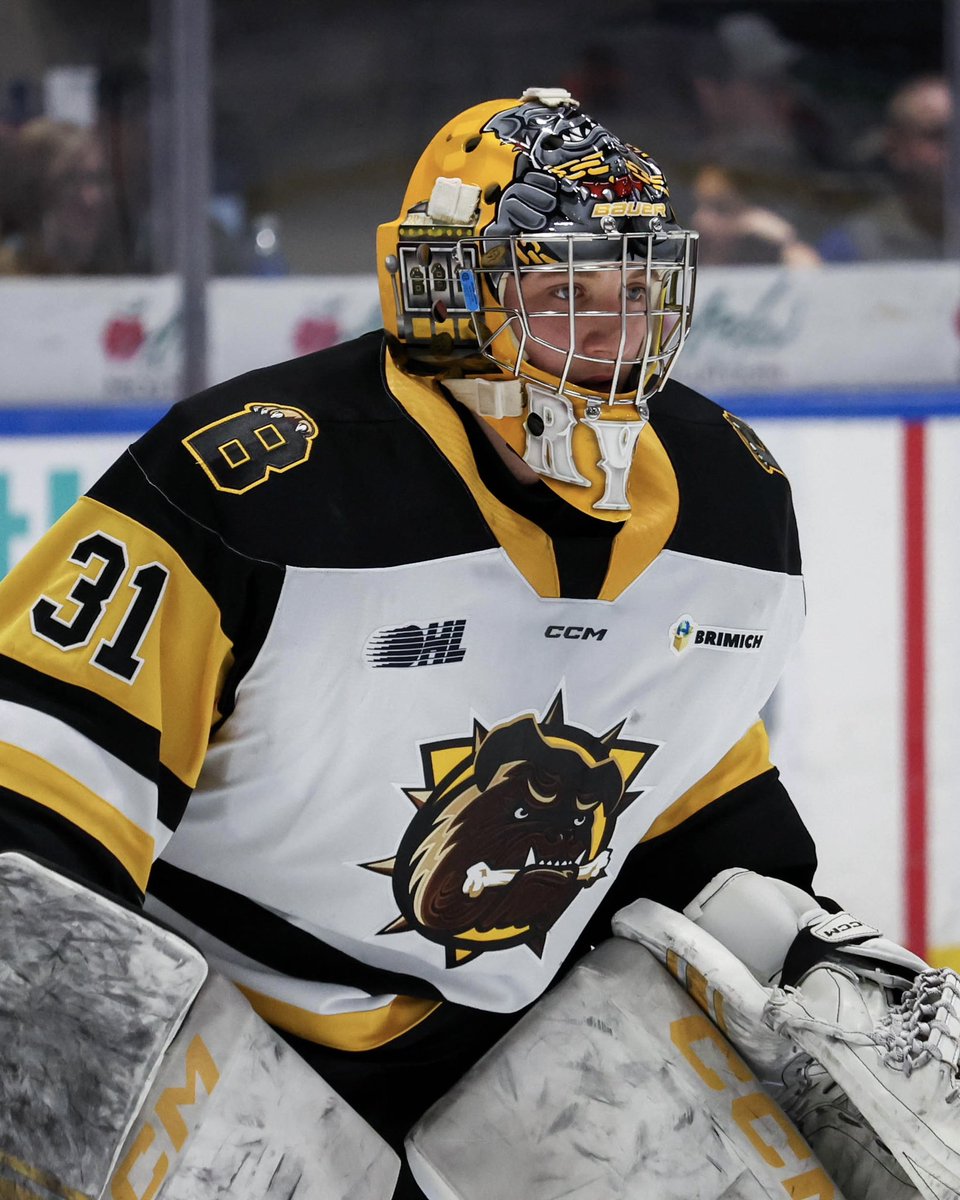 Brantford Bulldogs tweet media