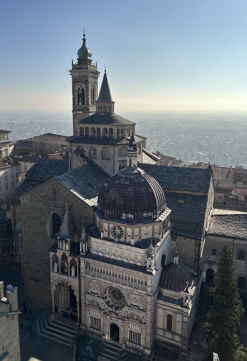 óculos escuros tweet media