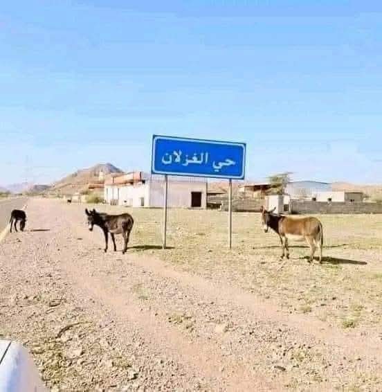 لا تهتم بالشعارات و ركز على الواقع.