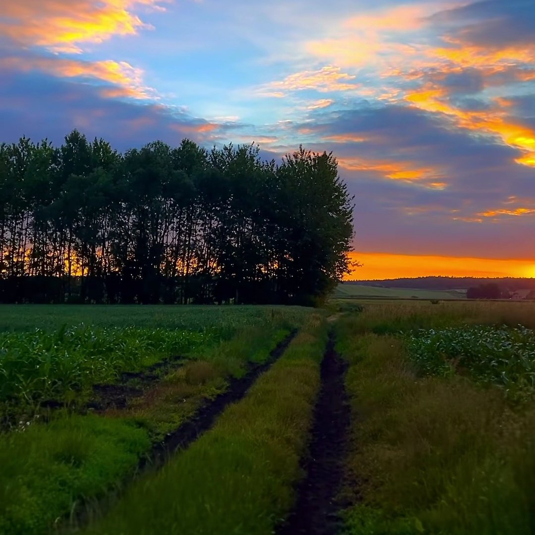 Sumanpreet03's tweet photo. This Nature is Extremely Beautiful.😍 
💕🌺🌅
#Nature #Photography #Beautiful #ThisView https://t.co/rOzlZmYQLl