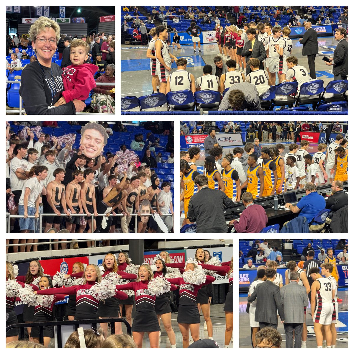 Dr. Catherine Stephens tweet media