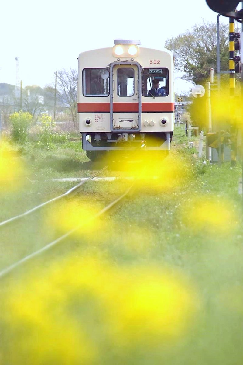 [#乗ろうよ竜鉄]現状だけは認識して欲しい。コロナ等の影響で利用者が減少傾向だった竜鉄も、昨年から回復傾向を示し、今年度は2019年度を超える水準に戻りつつある。しかし、事業としては未だまだ赤字。皆さんの愛乗を切に願いたい。竜鉄に乗ろう!当たり前を止めないために、それが何よりの処方箋。