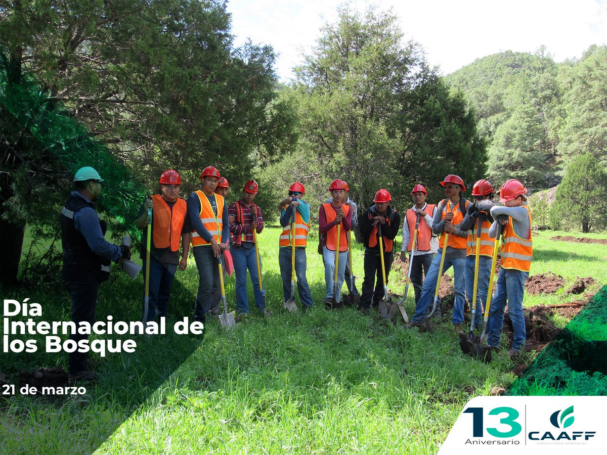 caaff1's tweet image. 🌲💚 Hoy es el Día Internacional de los Bosques.

Los bosques son los pulmones del planeta 🌍, refugio de vida 🐦 y fuente de agua 💧.
Protegerlos es protegernos.
📢 Planta un árbol, cuida uno, ¡habla por ellos! 🌿

#DíaDeLosBosques #ForestsDay #NaturalezaViva
