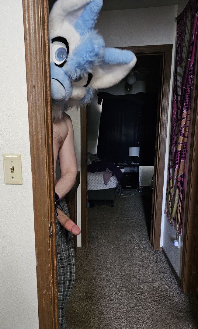 I’m not too late for #FCF am i? :3c
#murrsuit #furrynsfw #yiff