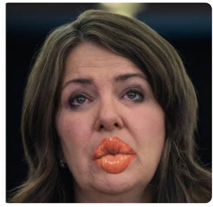 keesdenhartigh's tweet photo. #ABFuture #DanielleSmithIsUnfitToLead #ableg https://t.co/pBE6AW971b