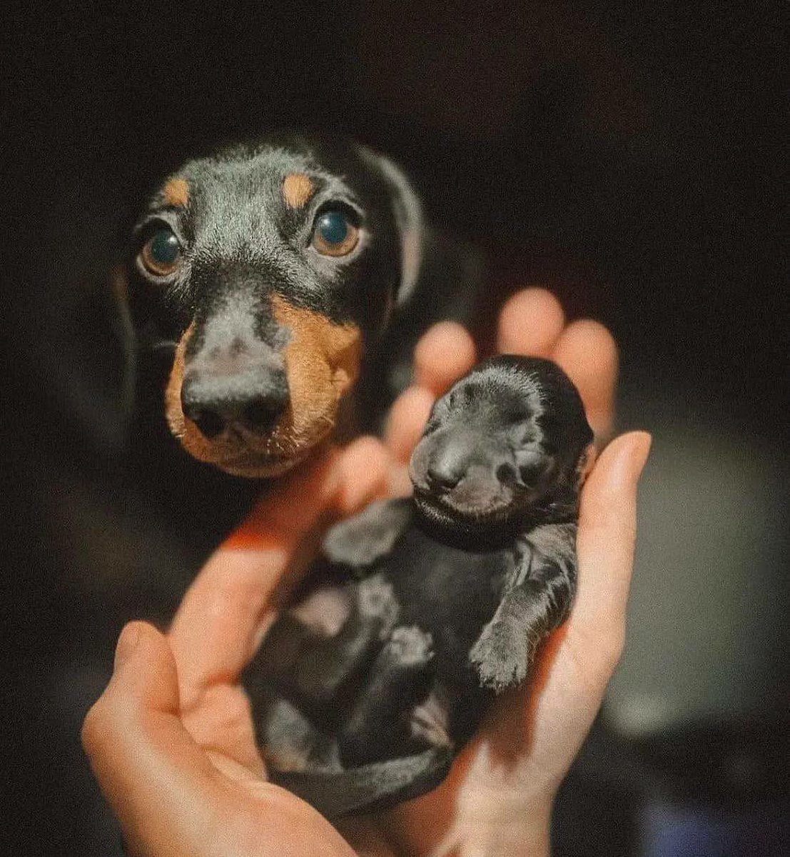 Mira, yo lo hice 🥺