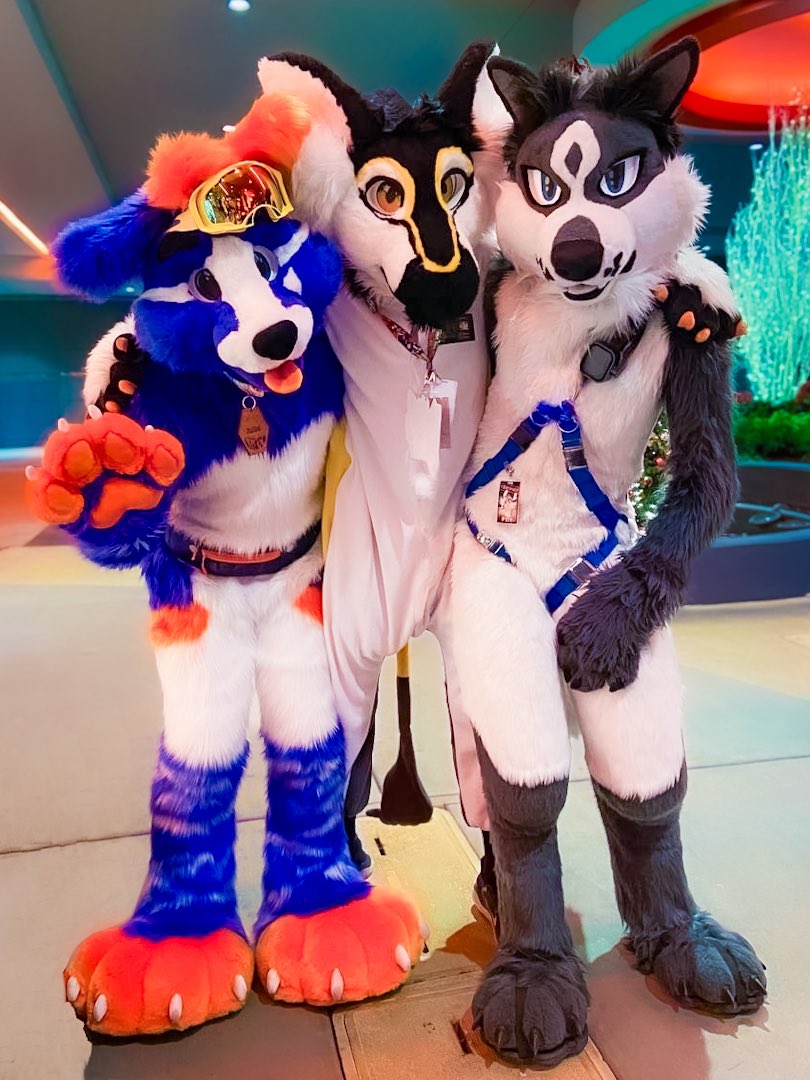 Pack of animals shaped like friends 🤍#FursuitFriday