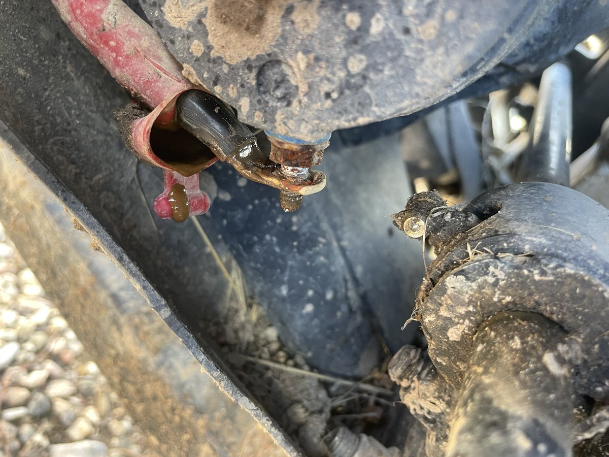 Rational Gun tweet media