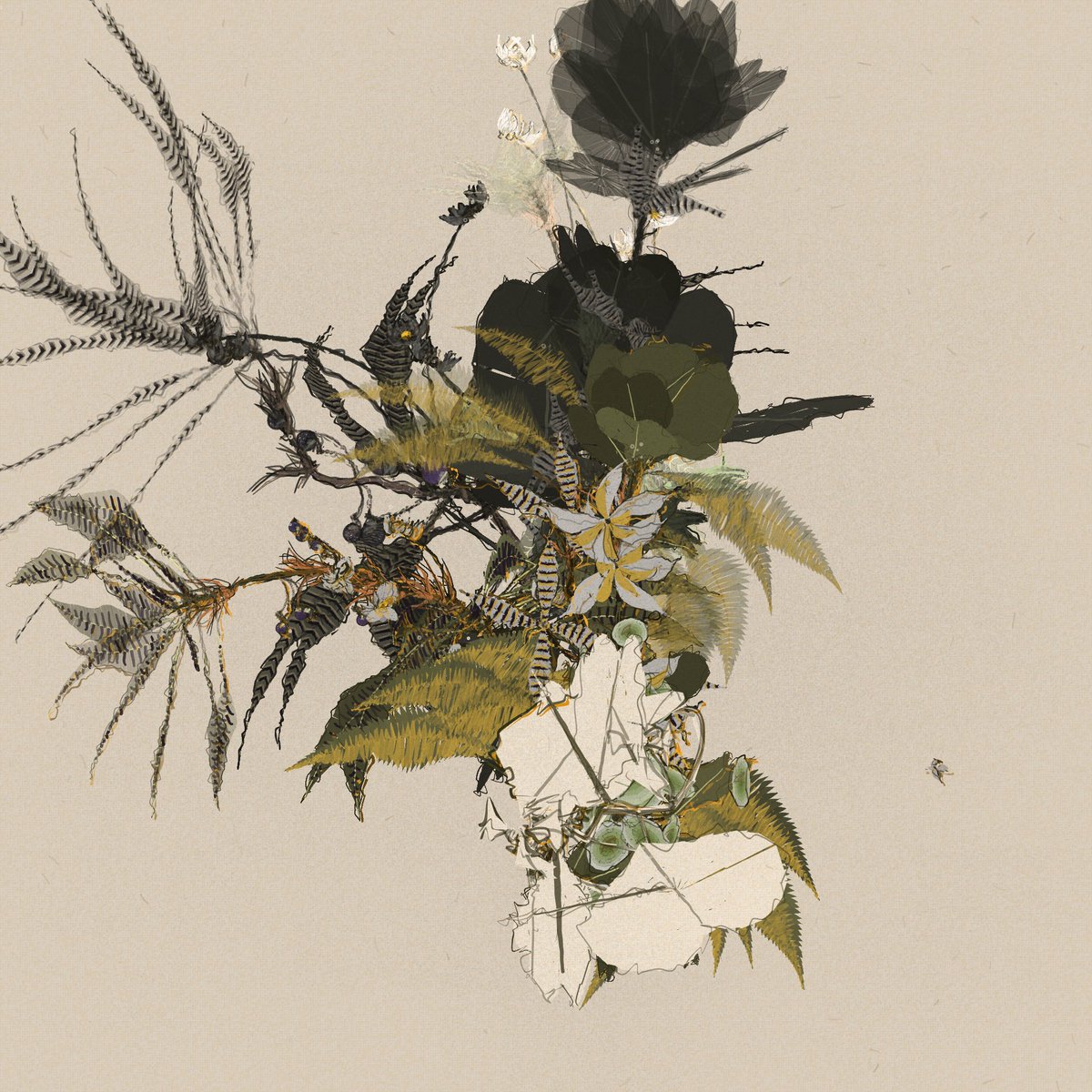 AluanWang (@ioivm) on Twitter photo 