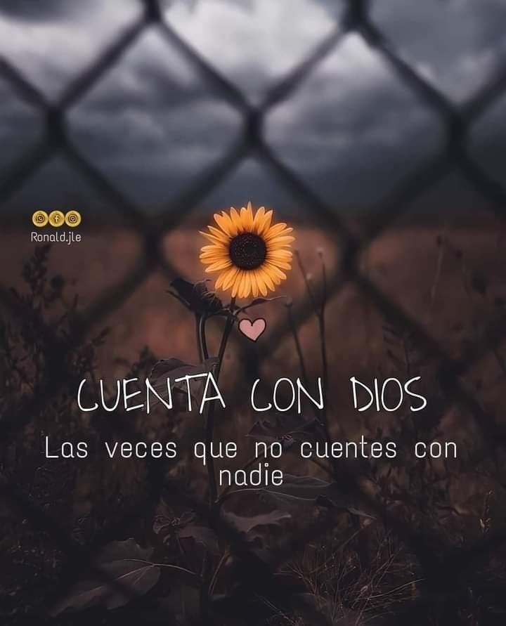 Hijos Del Rey ☝🙏 (@hijosdelrey86) on Twitter photo 