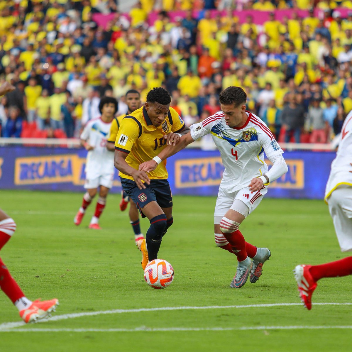 InformadoECUA's tweet photo. Ganó Ecuador 🇪🇨 https://t.co/UyXlydoQlS