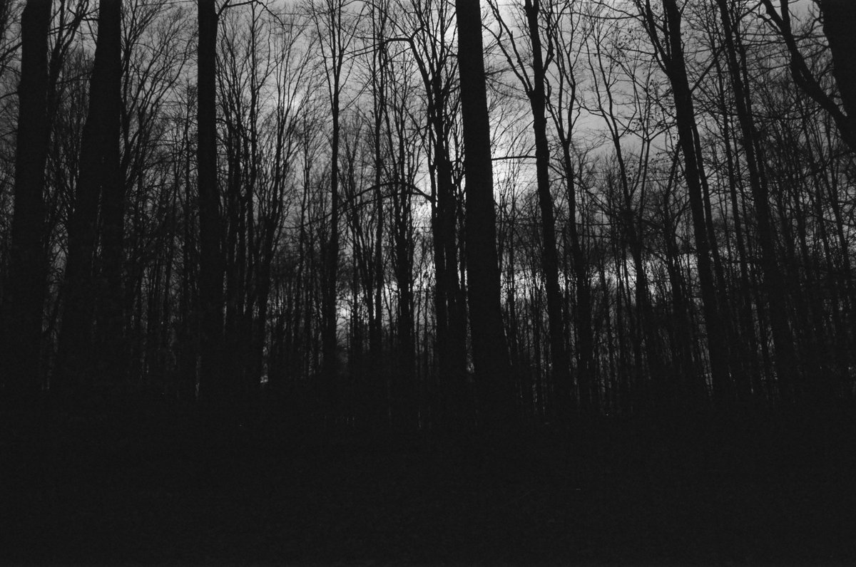 SilverFire15's tweet photo. November 2024. First two are Fomapan Action 400, second two are Ilford Delta 3200 https://t.co/XYRcm7Opku