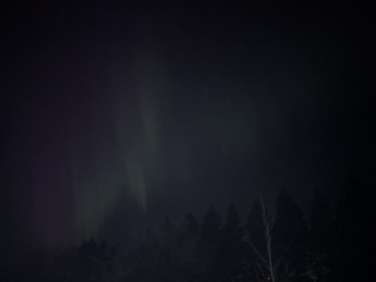 One of the many reasons to live in the country 🥹🥹🥹
Northern Lights in our backyard
Apparently I need to learn how to take pictures 🤣