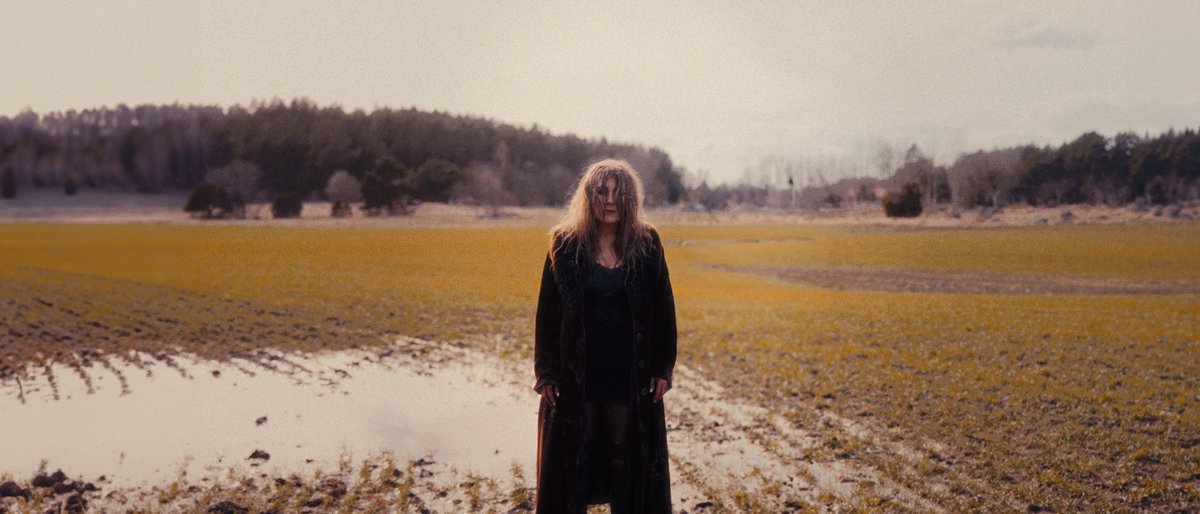 Miss Li (@missli82075) on Twitter photo 