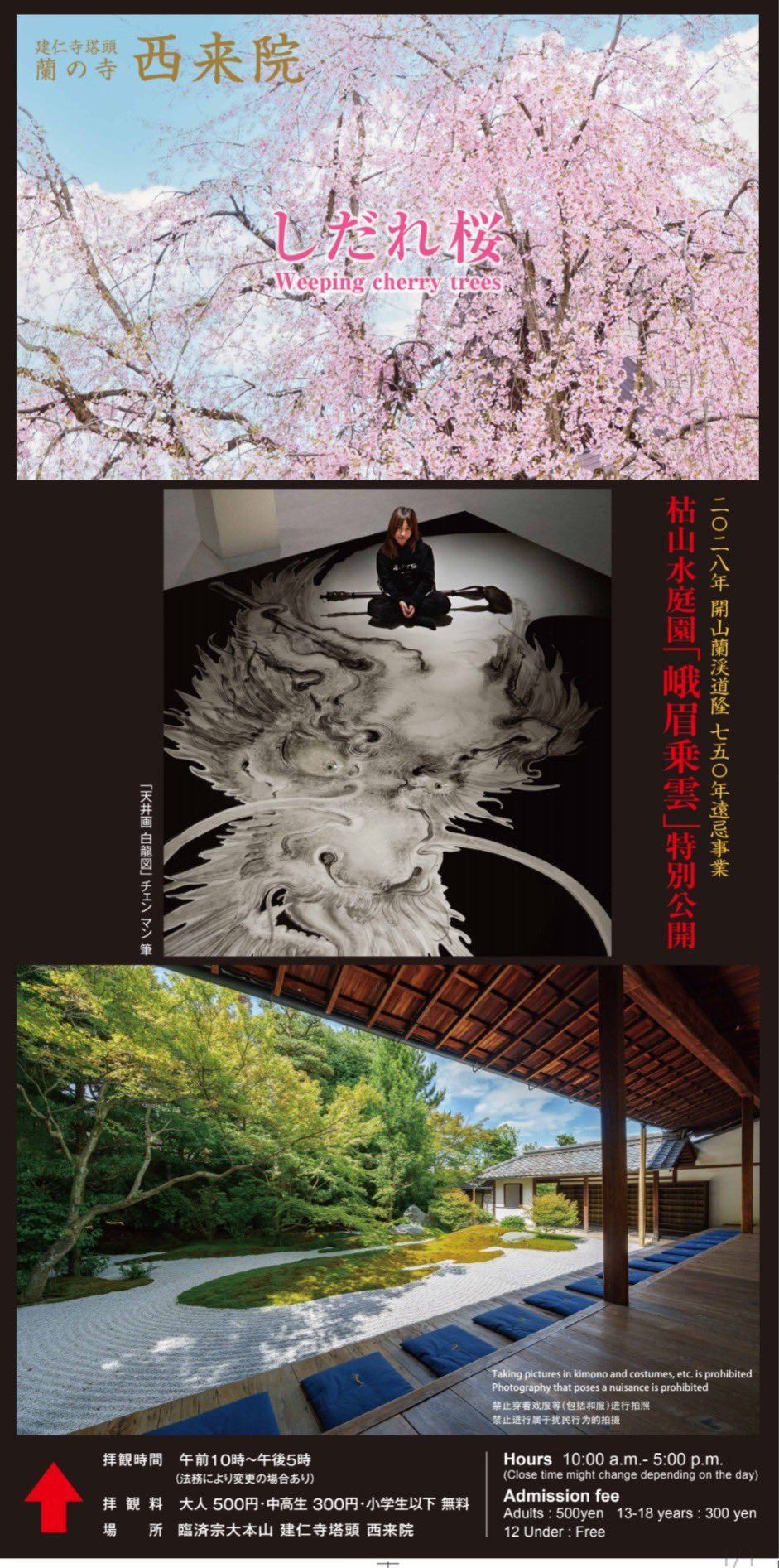 楽天市場】縁起達磨 発祥の地 少林山達磨寺に祀られている達磨