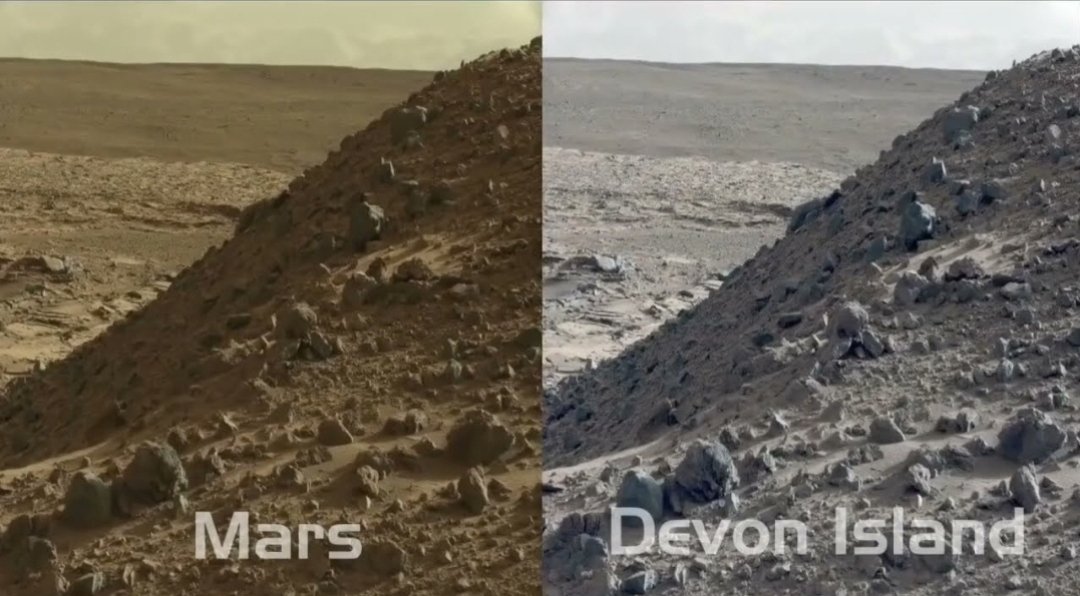 Red Pill USA tweet media