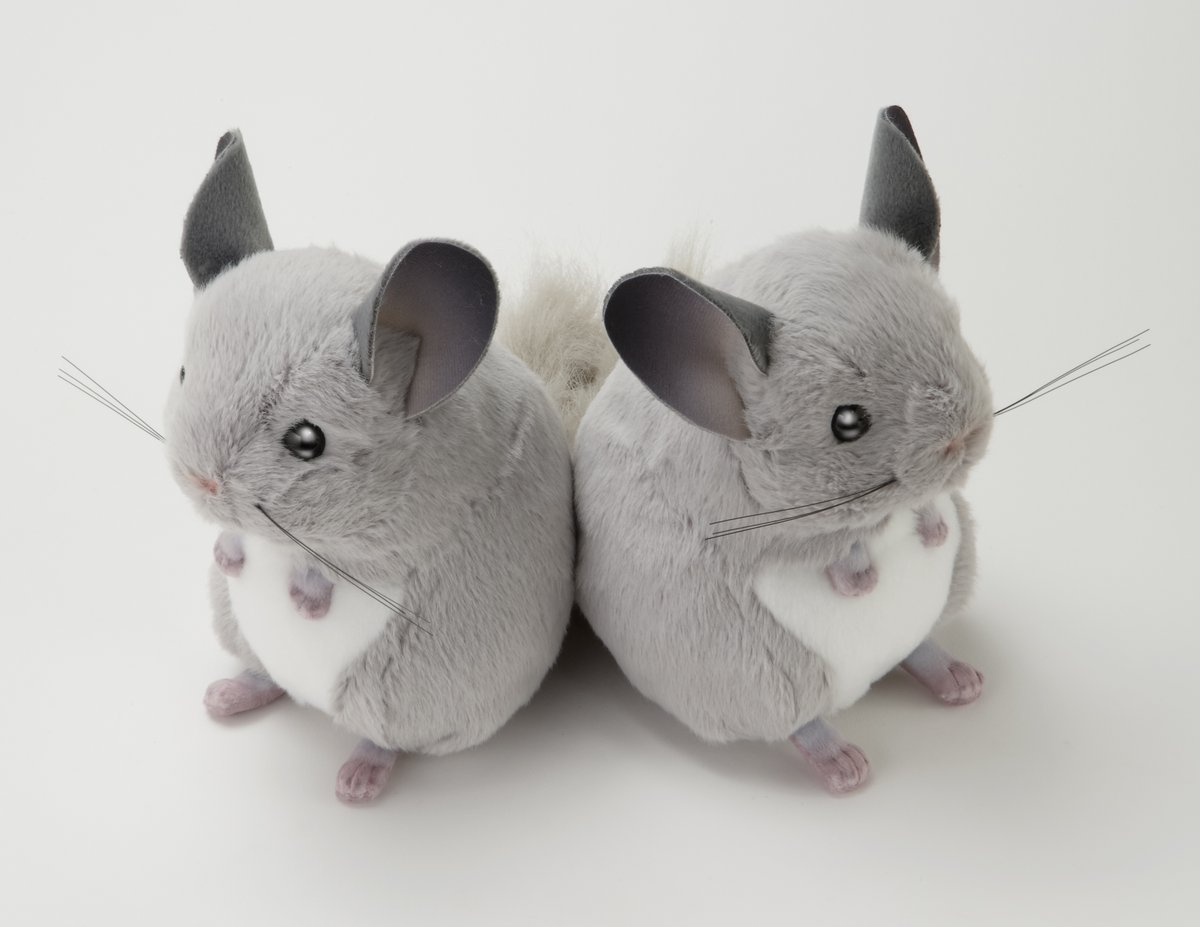 足立区生物園 on X