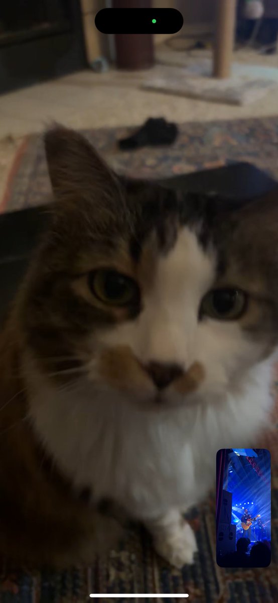 imaspacecowboi's tweet image. @thiswildlife Dallas show was lit 🤙🏼 thank yall &amp;amp; cheers to 10 years #clouded