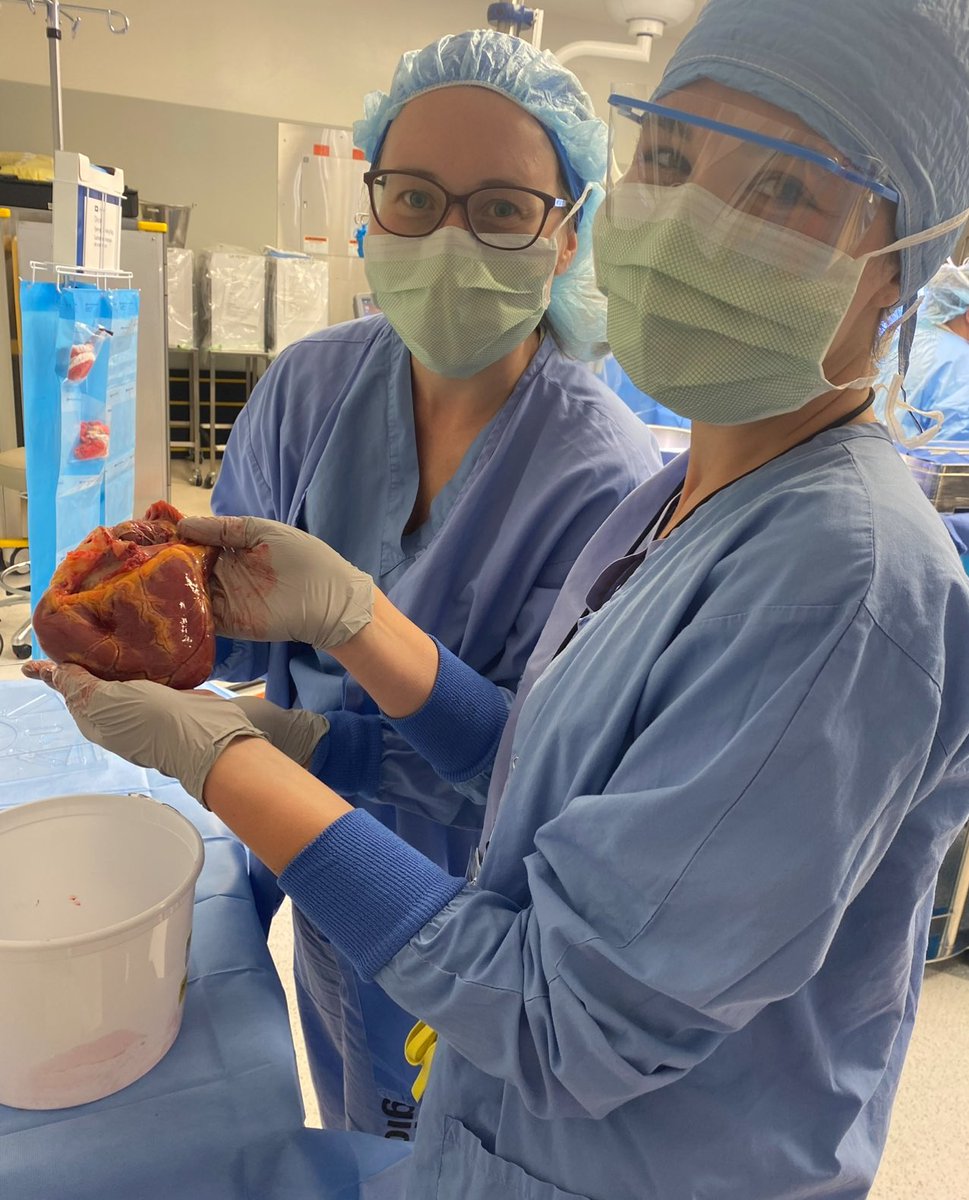 BusraCangutMD's tweet image. Words cannot describe the feeling of opening this email—I have matched in Cardiothoracic Surgery at Mount Sinai! After nearly 10 years, my dream is finally coming true—pursuing my dream specialty in my dream city. 🫀🫁🗽 #Match2025 @TheNRMP @MountSinaiHeart