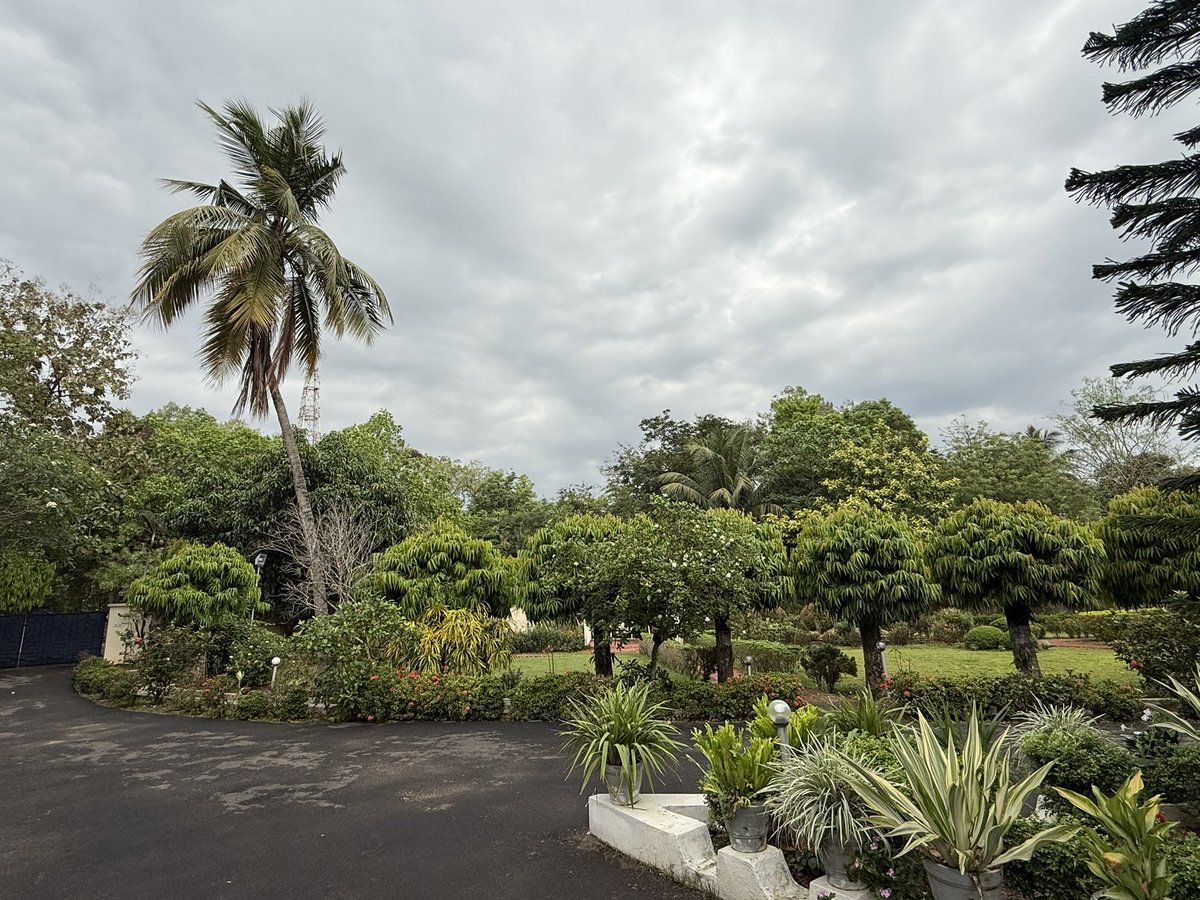 “The world washed clean: a rainy mornings gentle hush”