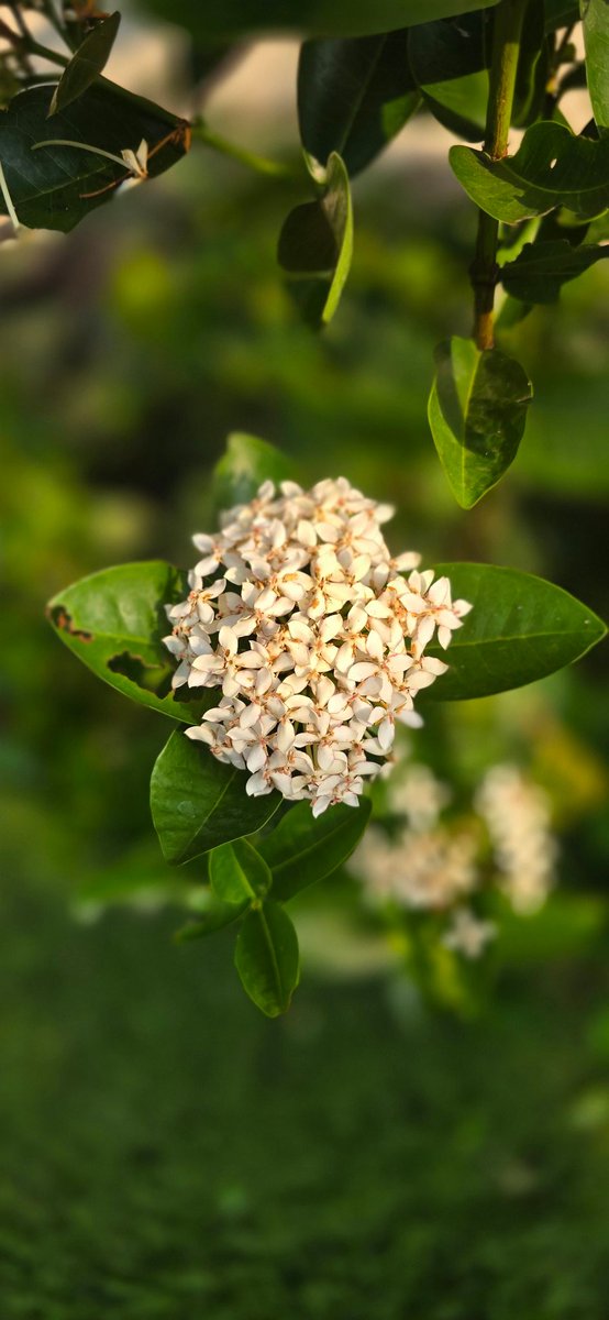 For March.
For Delhi and its colours.
And for coping with grief at this time of the year.

📸 Kochi, Kerala.