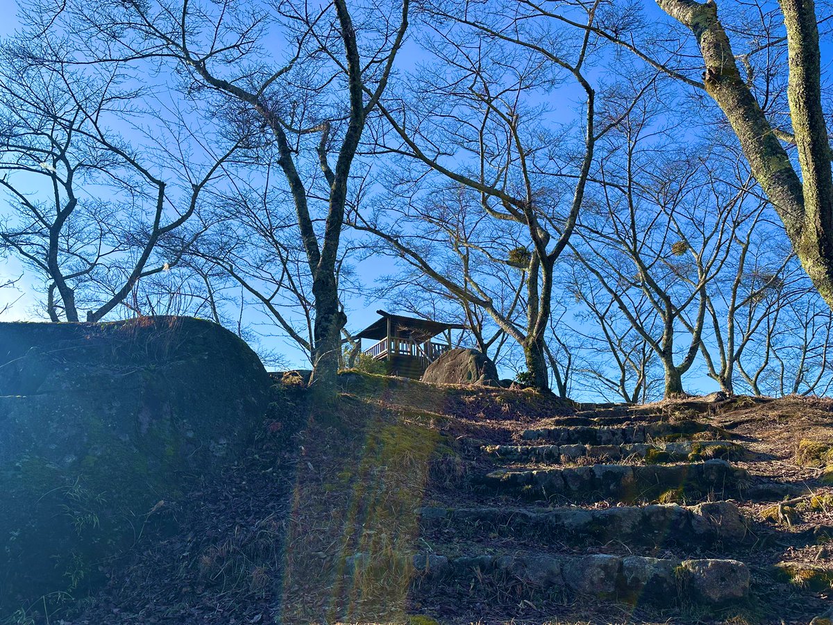 凹うつわ🍶🌸東美濃発VTuber tweet media